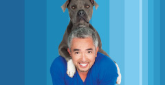 EL ENCANTADOR DE PERROS